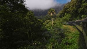  Curitiba com Trem pela Serra do Mar e Ilha do Mel 